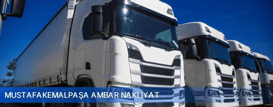 Mustafakemalpaşa Ambar Nakliyat